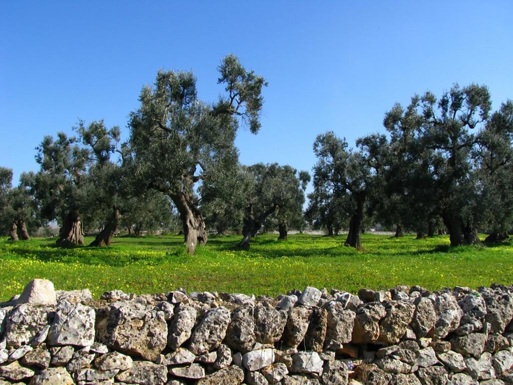 Trulli Diffuso 3*
