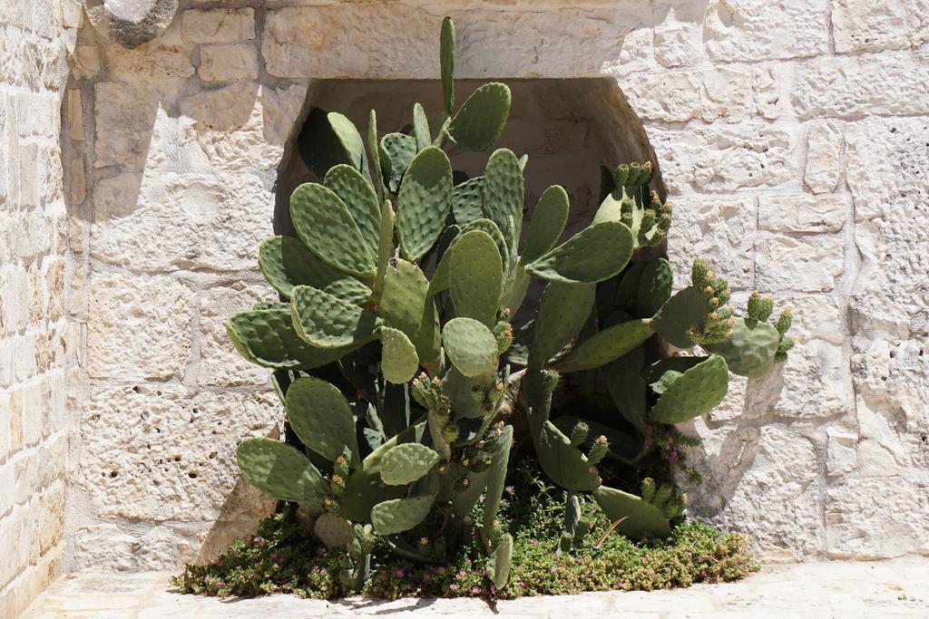 Trulli Diffuso 3* Alberobello